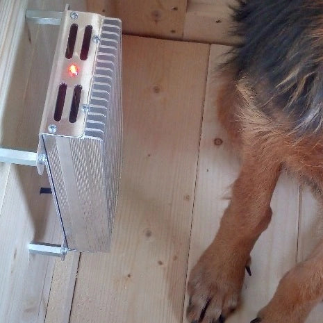 Hundehütte im Außenbereich im Winter